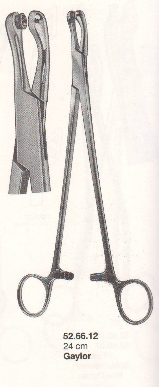 IBIOPSY PUNCH FORCEPSGAYLOR 24cmSTR. Concordia Medical