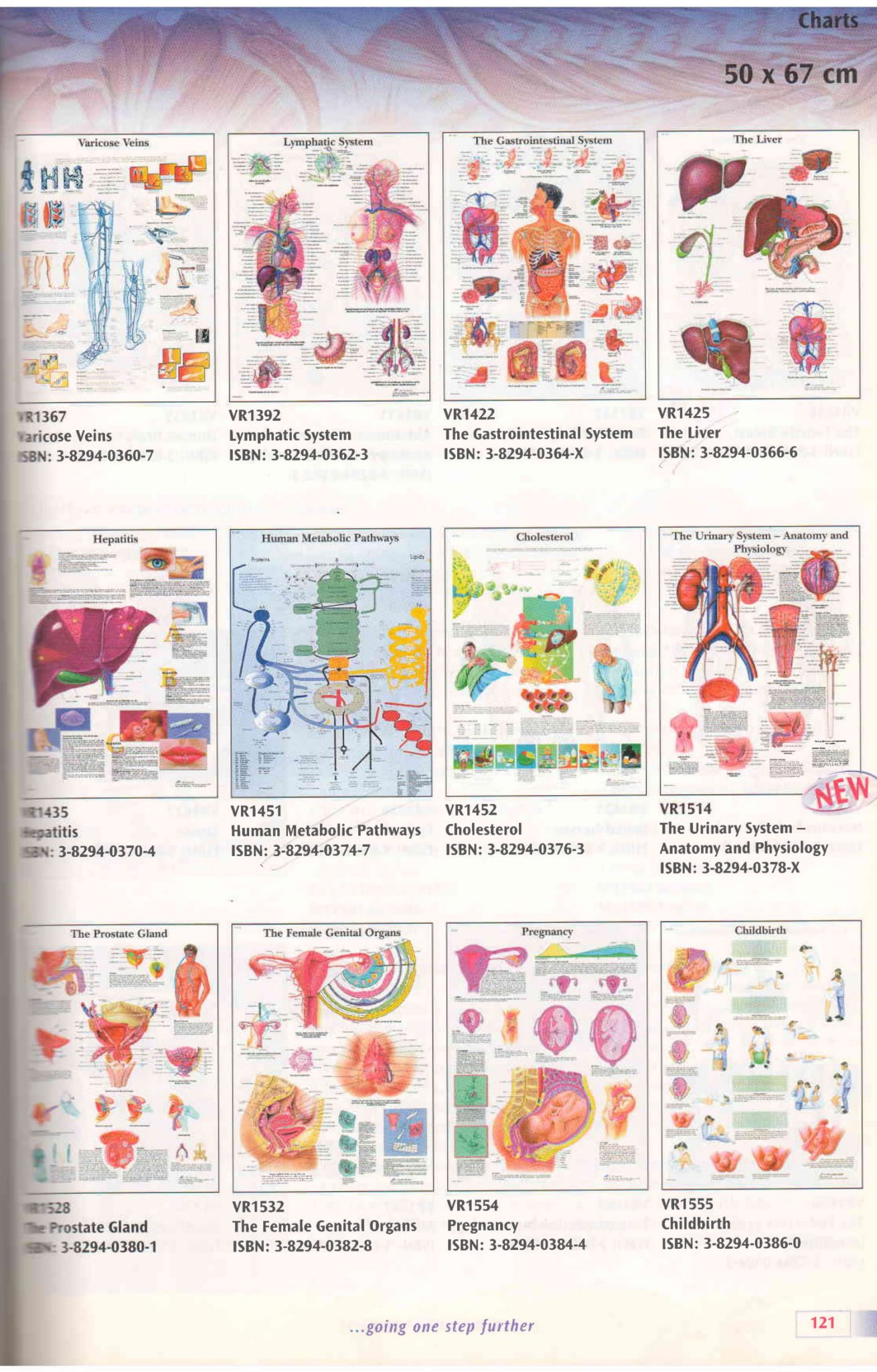 ANATOMICAL CHARTS4 – Concordia Medical